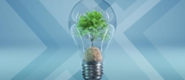Tree in a lightbulb on a blue background