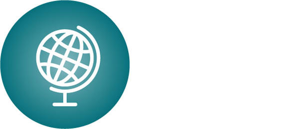 Globe icon
